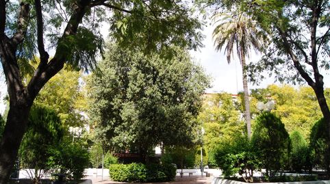 Foto 5 de Piso de alquiler en Nalon, El Plantinar – Avda. La Paz - El Juncal, Sevilla Capital