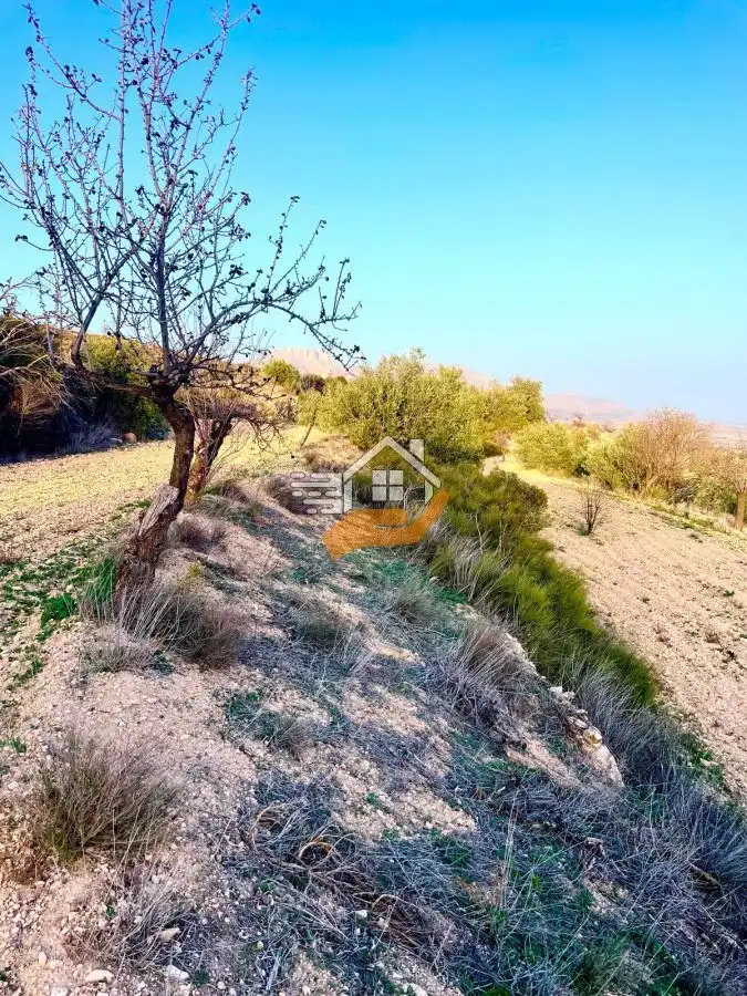 Lands and plots for sale in Vélez-Rubio, imagen 15