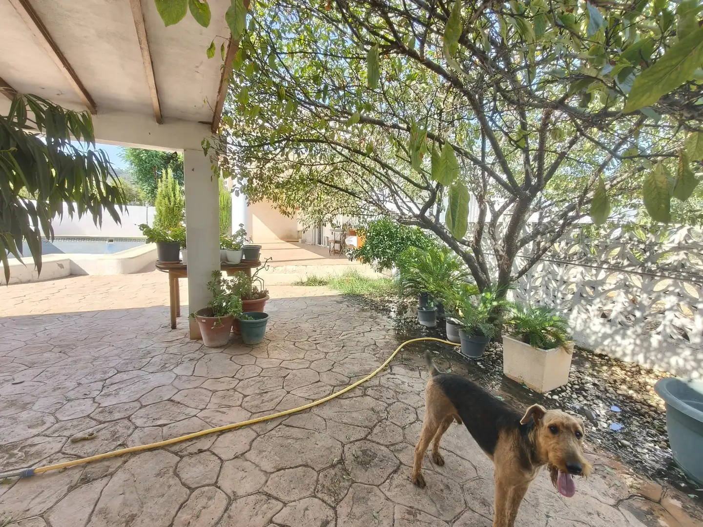 Jardín de Casa o chalet en venta en Montroi / Montroy con Jardín privado, Terraza y Trastero
