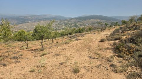 Terreno rústico en Alcolea  10.839 m2 en plena Alpujarra Almeriense, immagine 3