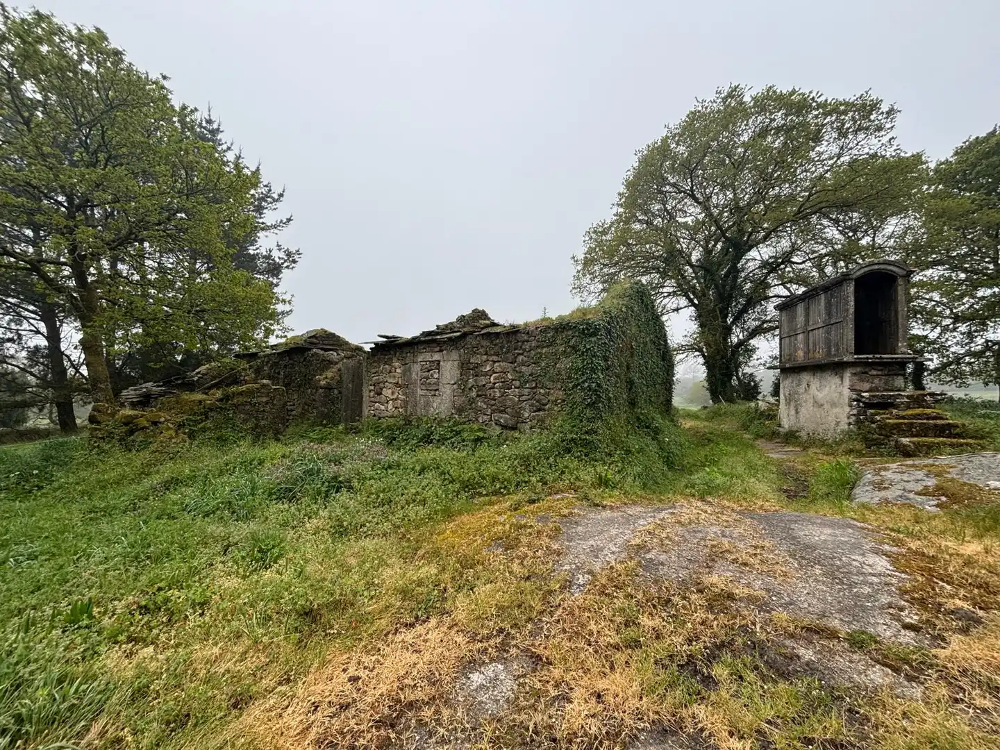 Finca rústica en venta en Guitiriz