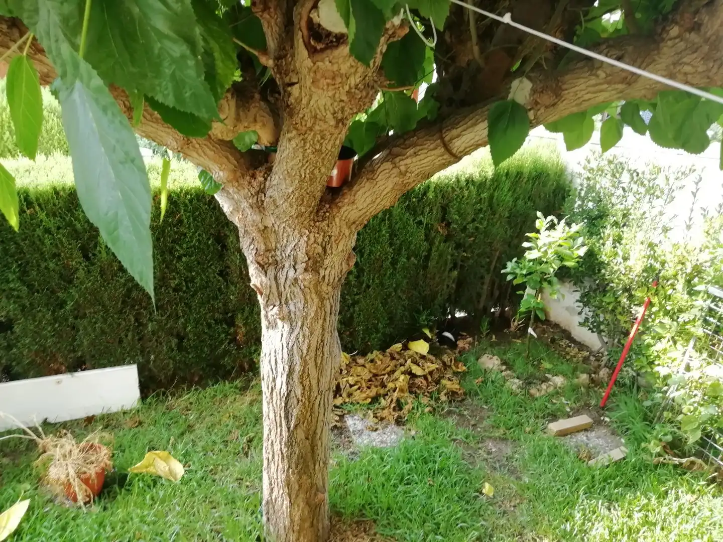 Jardín de Apartamento en venta en El Vendrell con Aire acondicionado, Terraza y Balcón