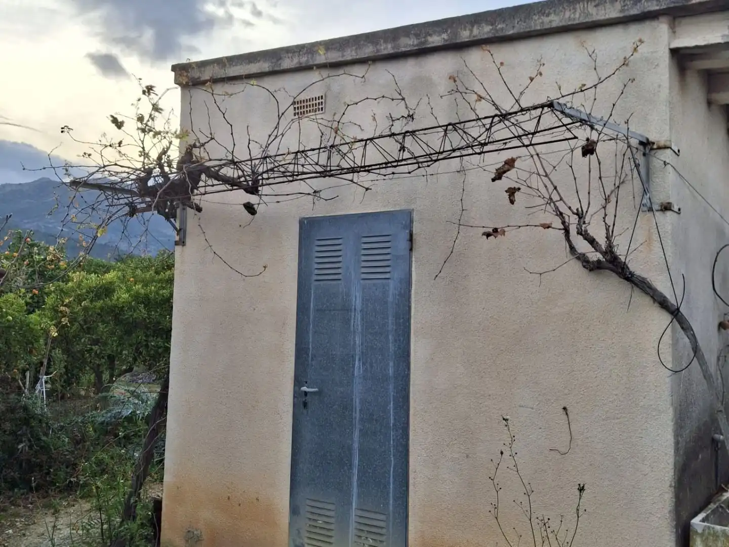 Vista exterior de Terreno en venta en Alcalalí, Alicante