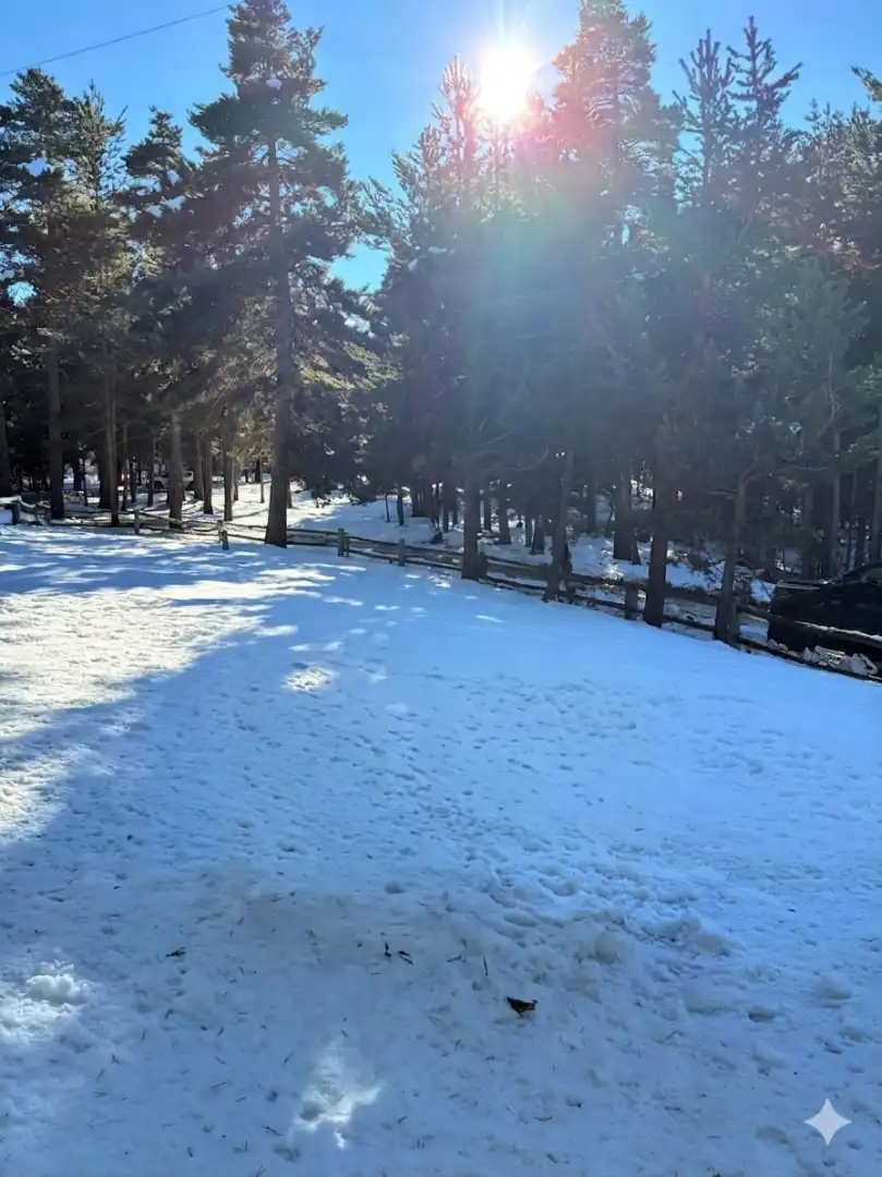 Casa adosada en venta en Alp con Calefacción, Jardín privado y Balcón