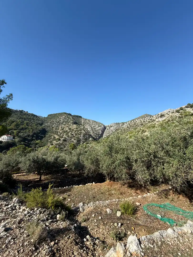 Terreny rústic en venda a La Vall de Laguar, imagen 15