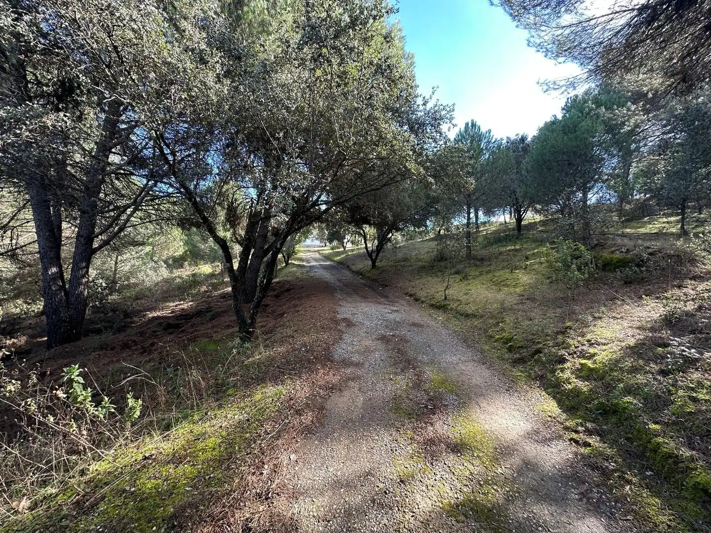 Casa o chalet en venta en Villaviciosa de Córdoba con Calefacción, Jardín privado y Terraza