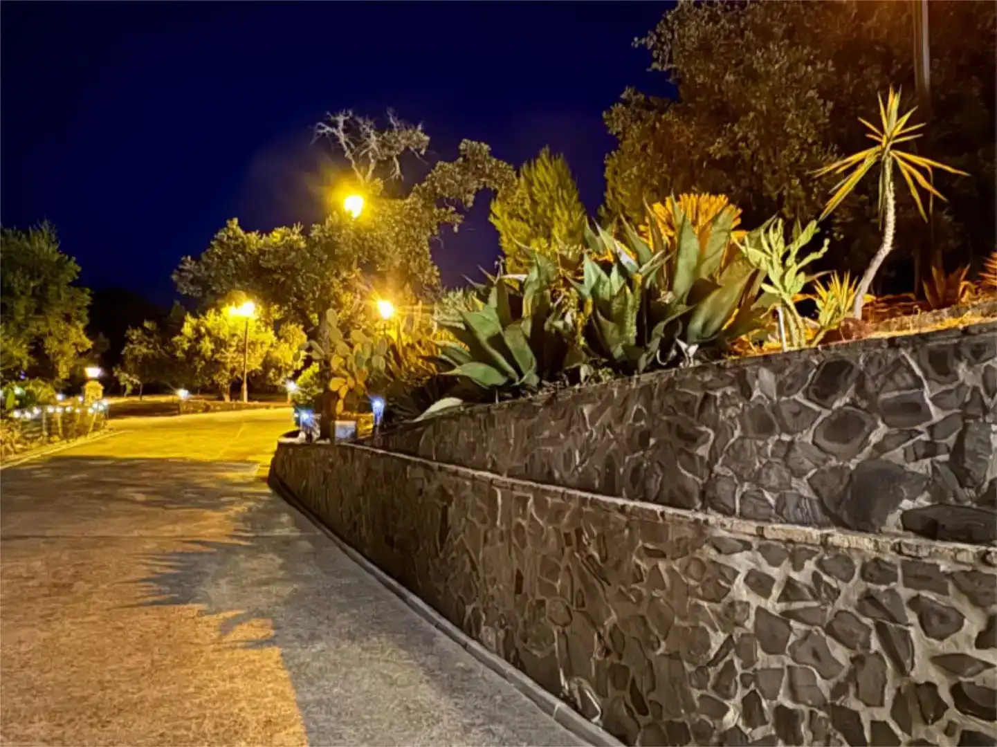 Vista exterior de Finca rústica en venta en El Madroño con Aire acondicionado, Jardín privado y Parquet