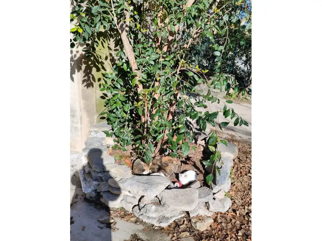 Country house for sale in Lugar Eroles, imagen 25