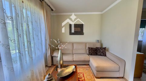 Chalet premium con piscina, placas solares y gran privacidad, imagen 4