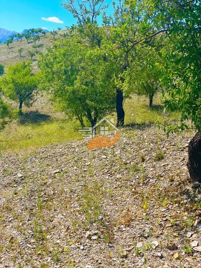 Residential land for sale in Vélez-Rubio, imagen 3