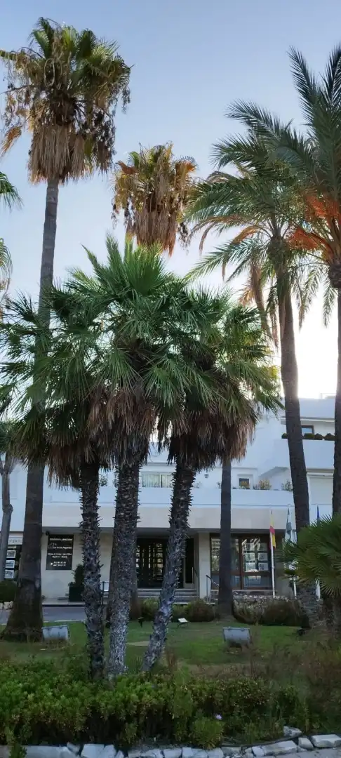 Piso con piscina en venta en Nueva Andalucía, imagen 58