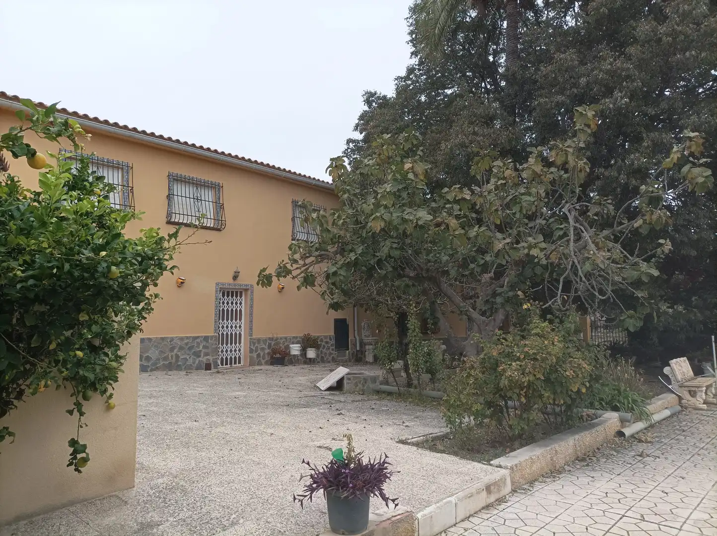 Xalet amb terrassa en venda a Diseminado Sector 2 223, imagen 4