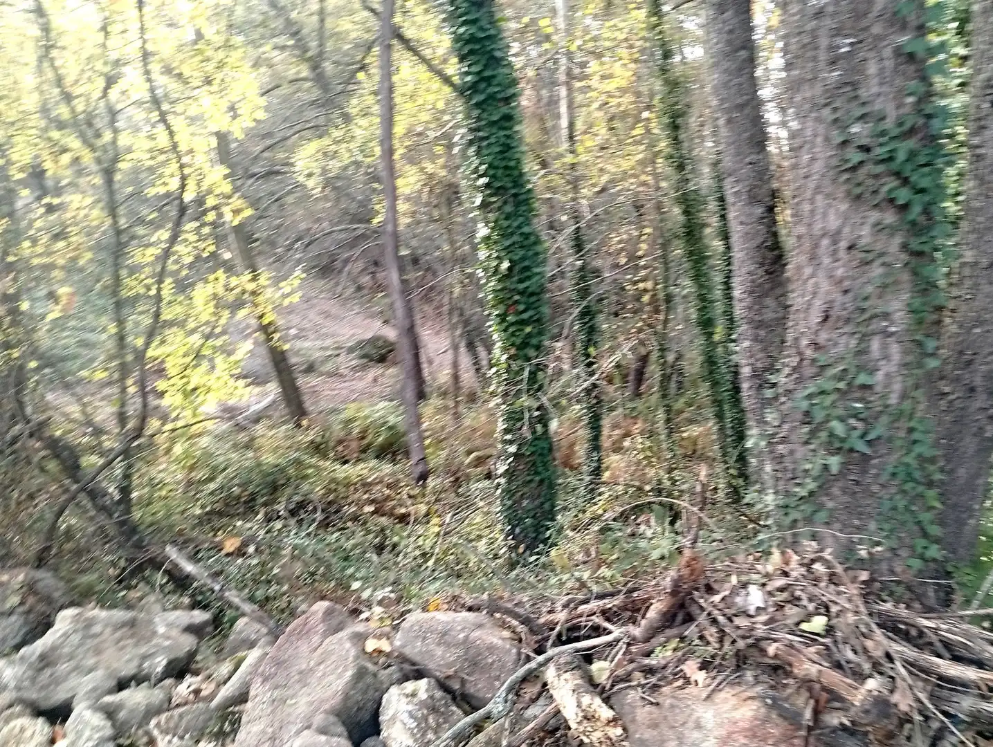 Terreni e lotti in vendita a Viandar de la Vera, imagen 15