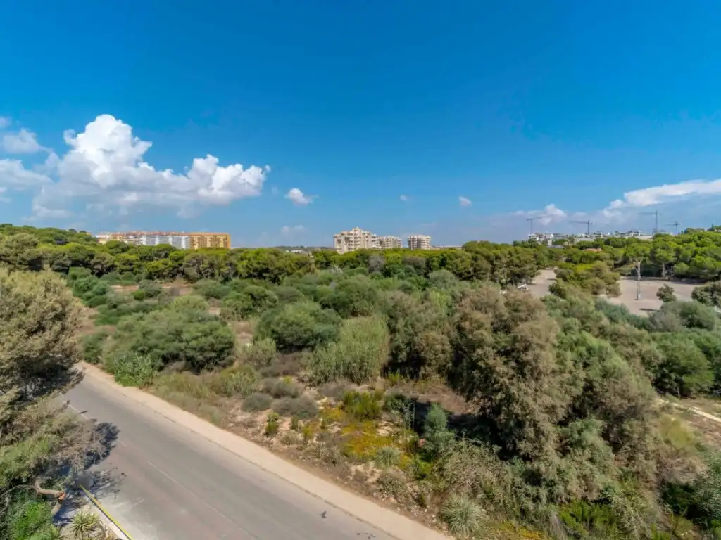 Casa o xalet de lloguer en Orihuela amb Piscina