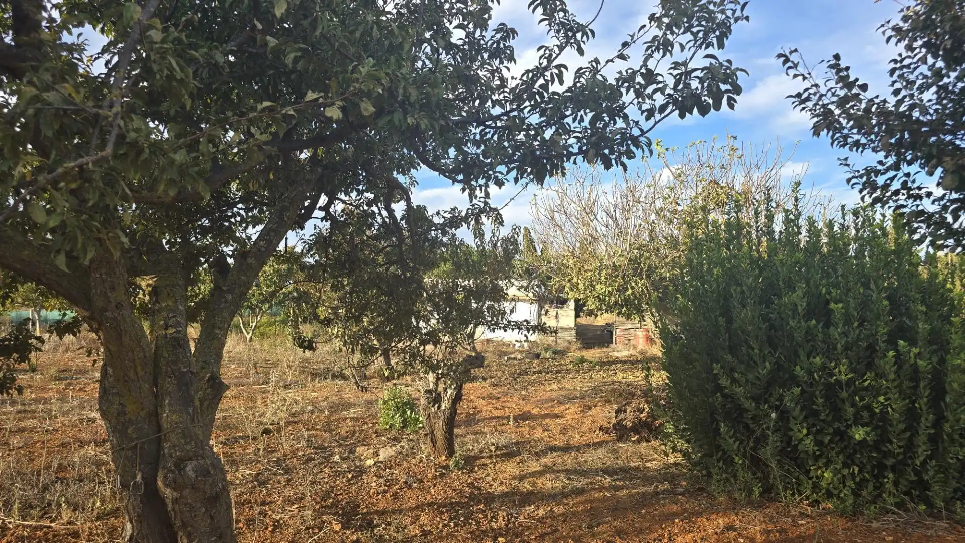 Land for sale in Los Franceses – La Vega