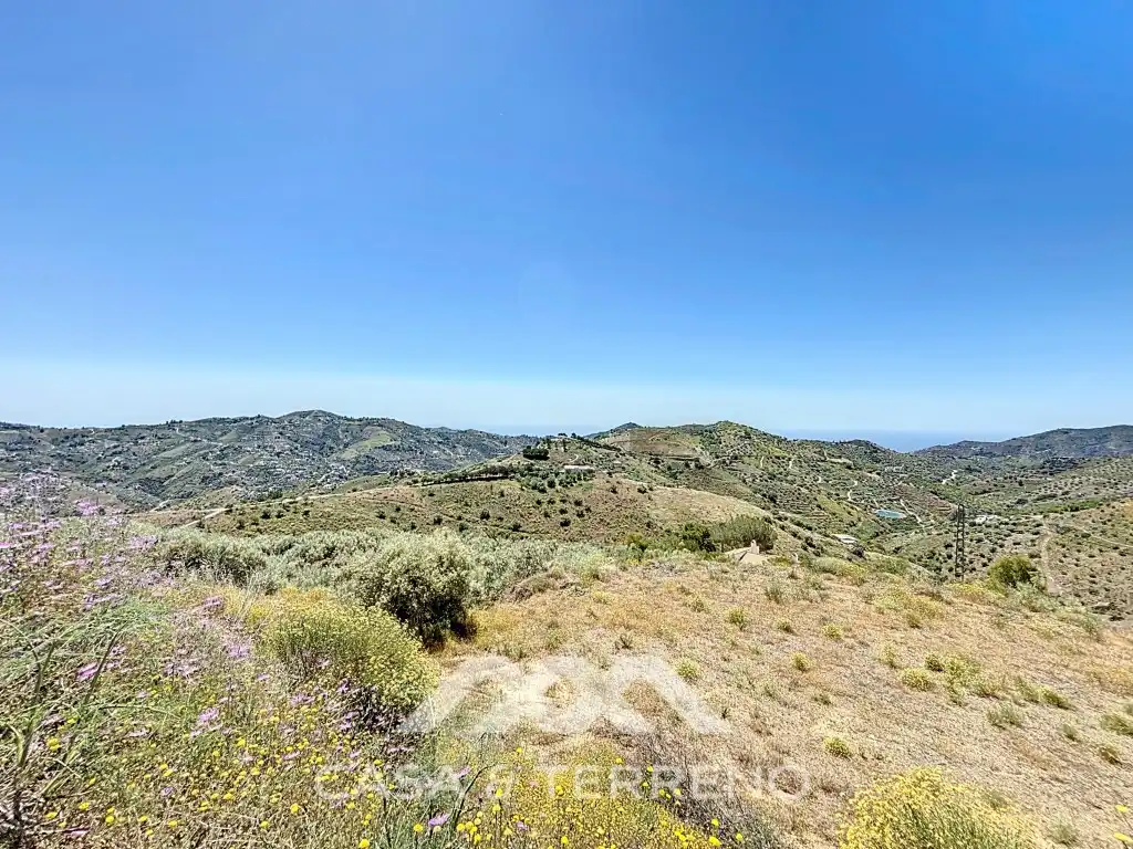 Land for sale in Canillas de Albaida