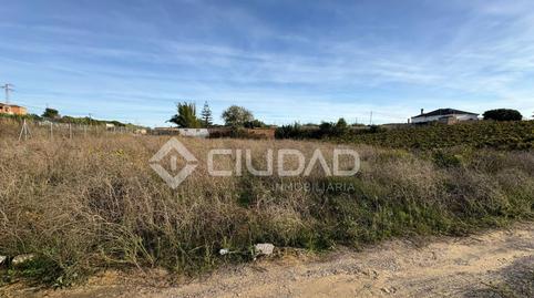 Foto 2 de Terreny en venda a Monteolivete - Camino Sevilla, Cádiz