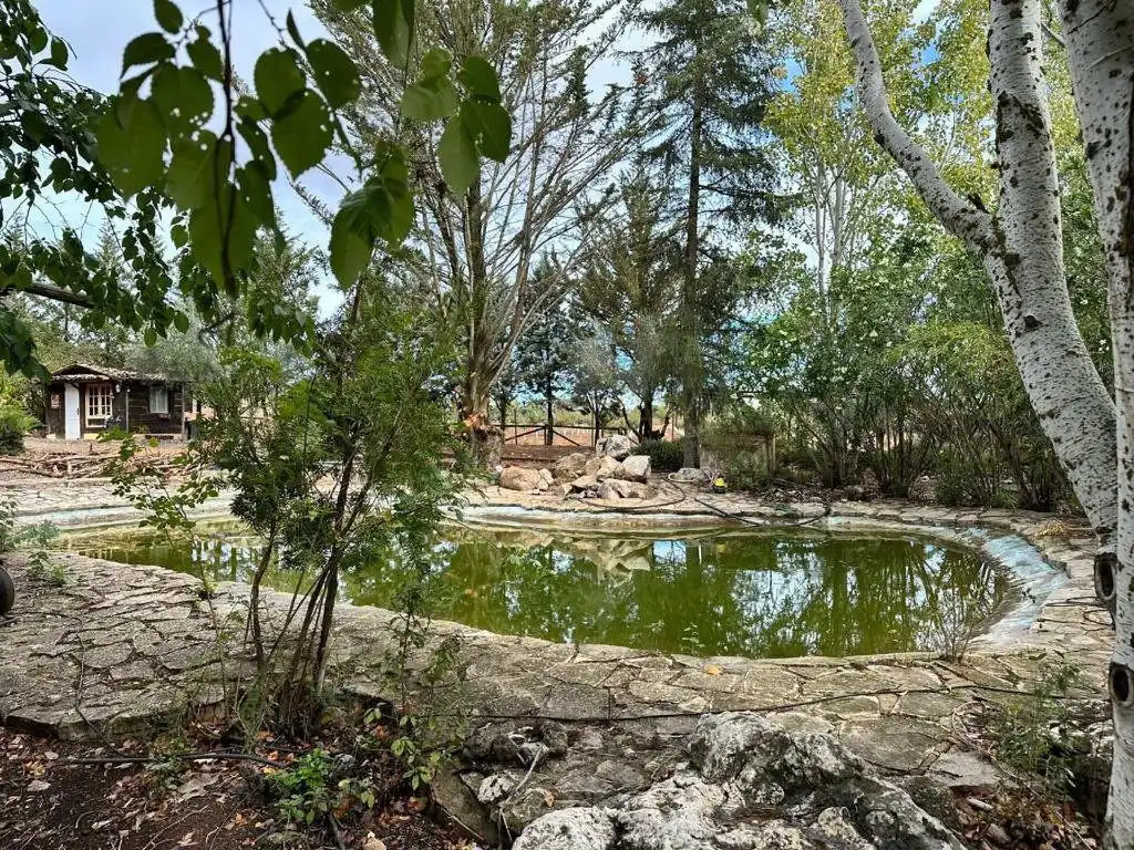 Casa rústica con piscina en venta en Archidona, imagen 45