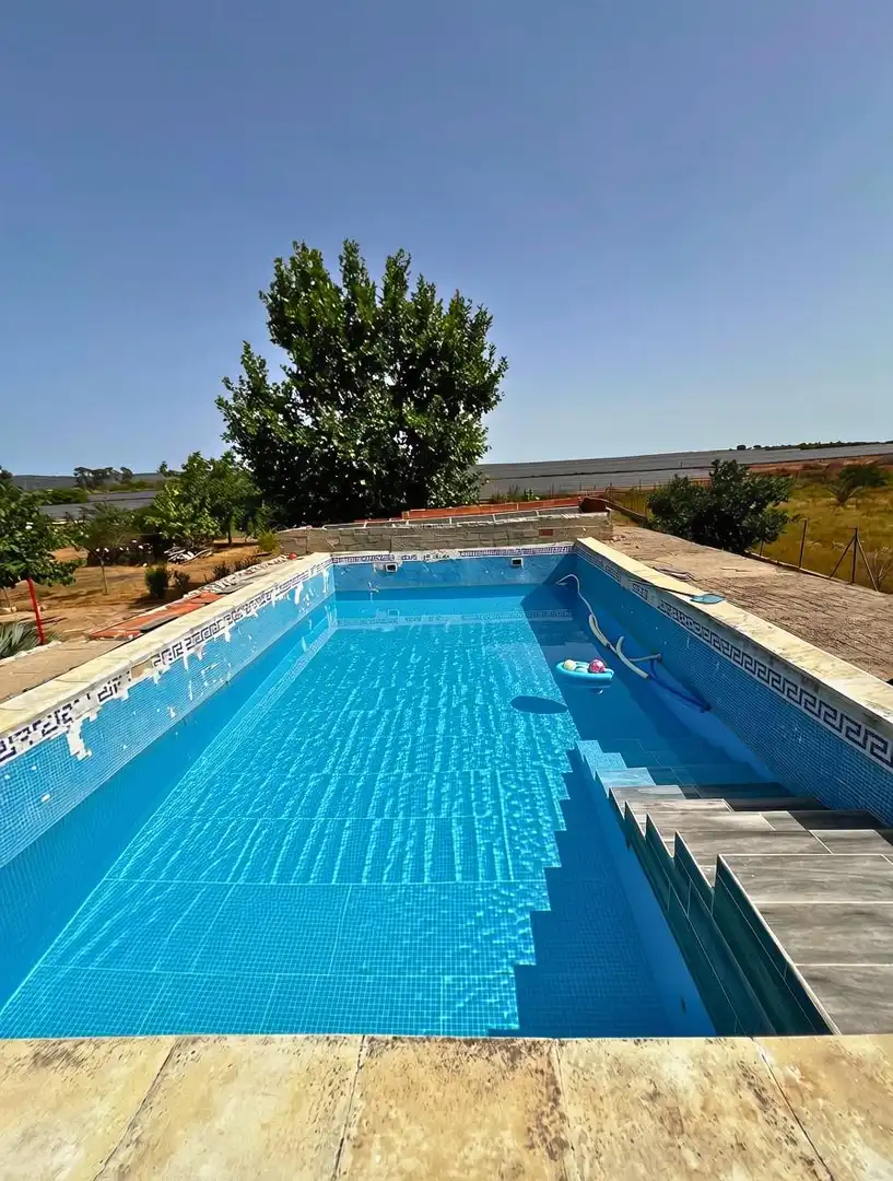 Piscina de Casa o xalet en venda en Alfarrasí