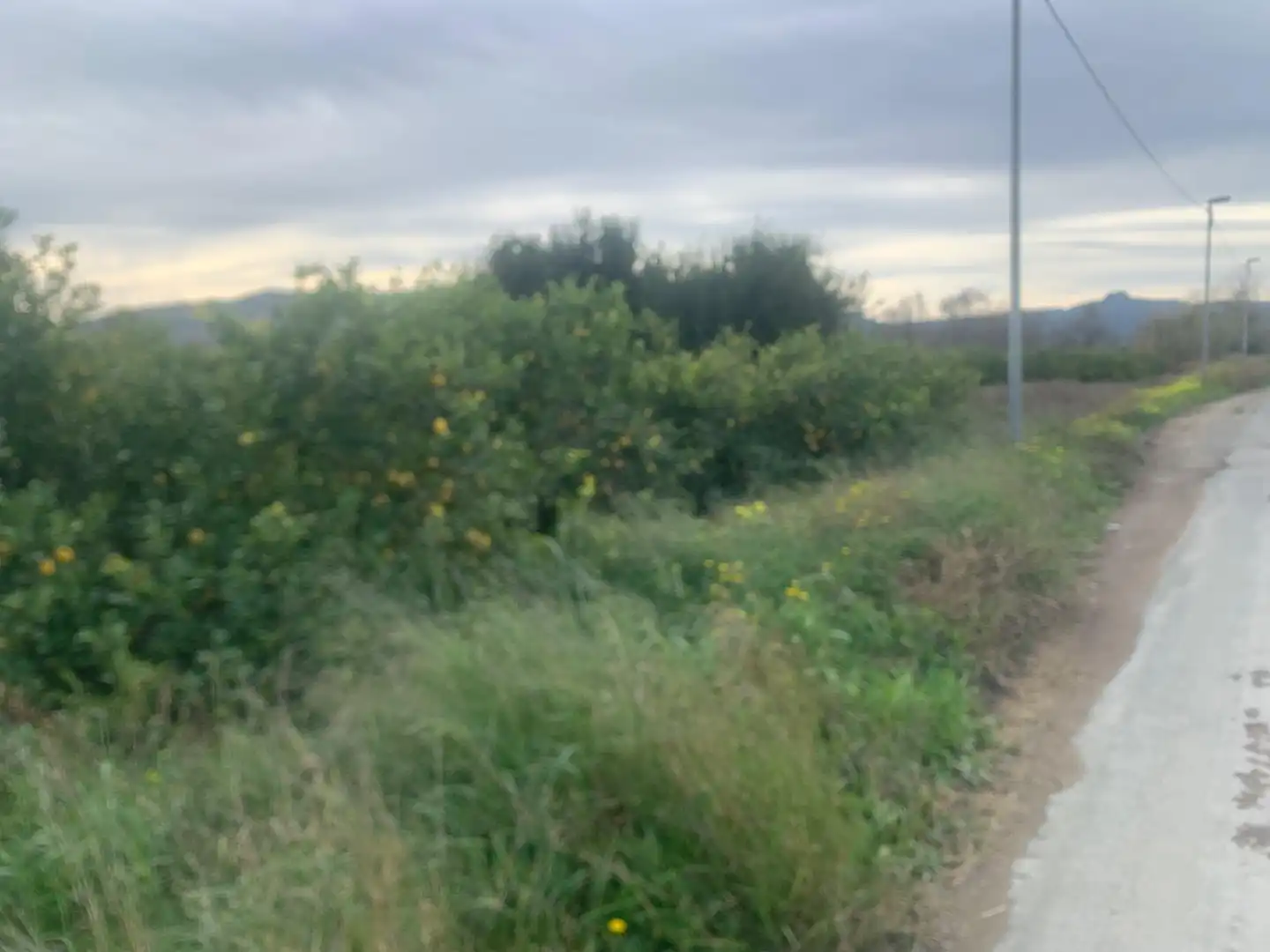 Terrenys i solars en venda a Pedanías Este, imagen 4