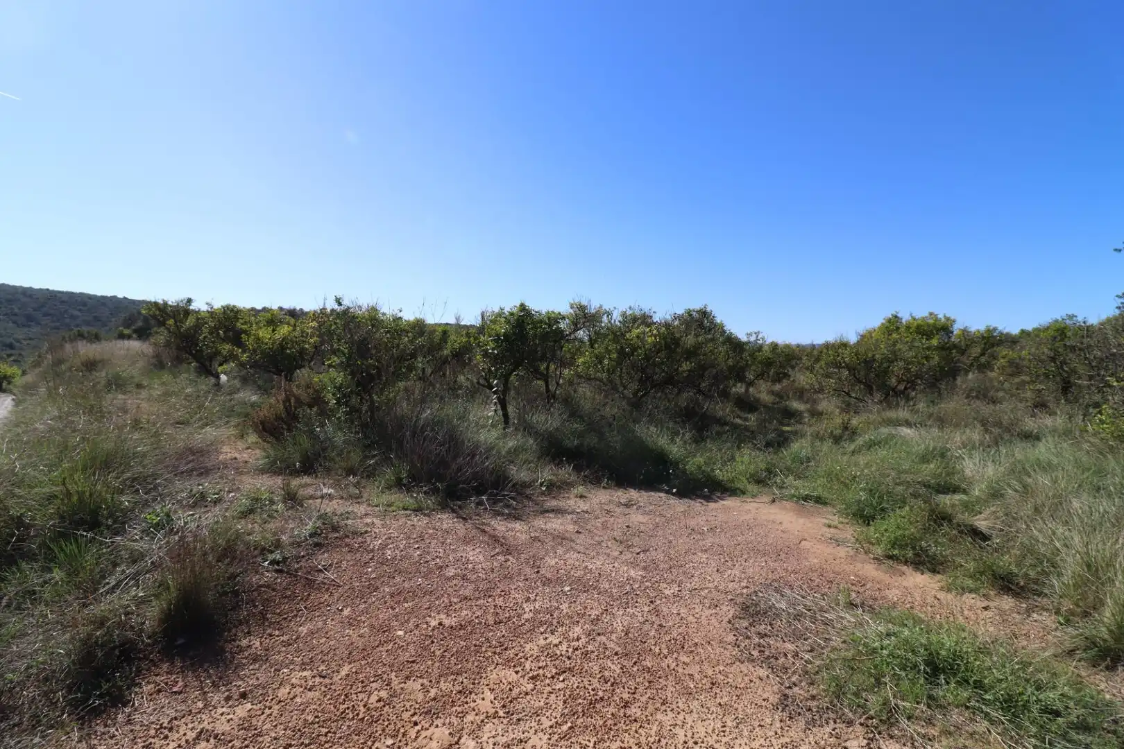 Grundstücke zum Verkauf in Ulldecona