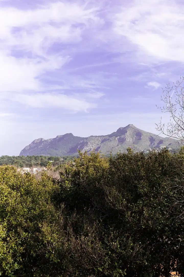 Exterior view of Detached homes for sale in Alcúdia  with Air Conditioner and Terrace
