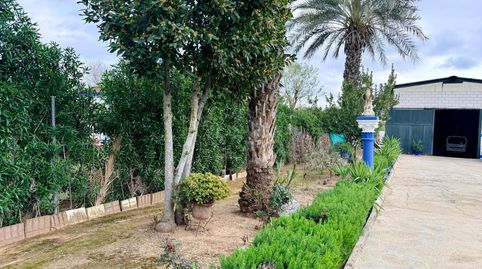 Foto 2 de Casa o chalet en venta en Carmona, Sevilla
