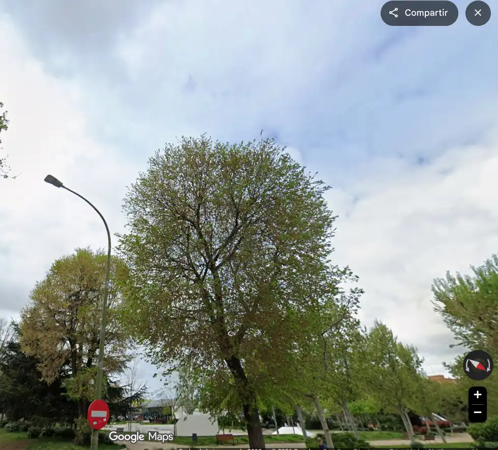 Piso con ascensor en venta en Sur - PAU 4, imagen 17