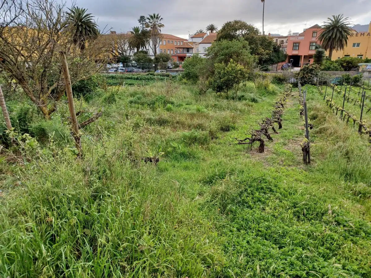 Terrenys i solars en venda a La Laguna, imagen 3