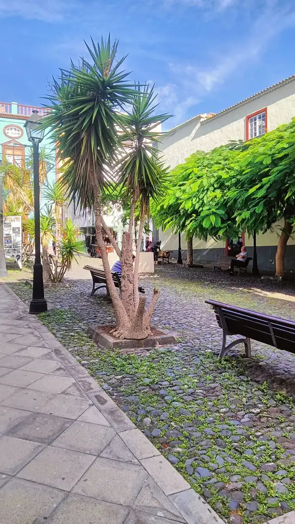Garten von Gebäude zum Verkauf in Santa Cruz de la Palma