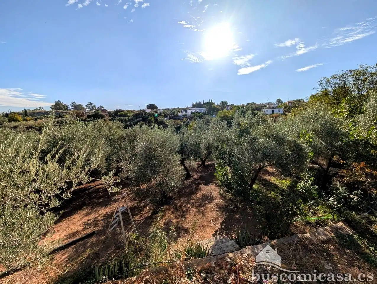 Casa rústica amb piscina en venda a Diseminado Huertos San Roque, imagen 17