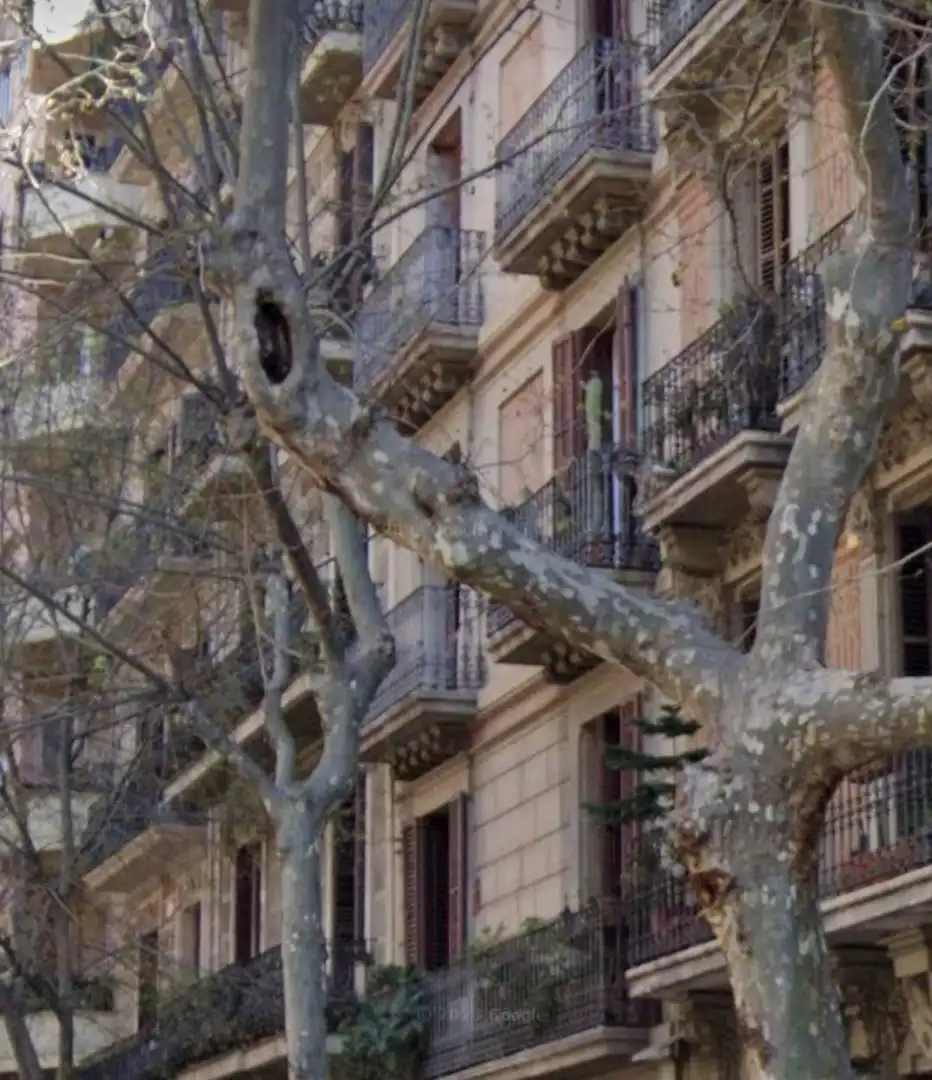 Business premises for sale in Carrer ARIBAU, imagen 11