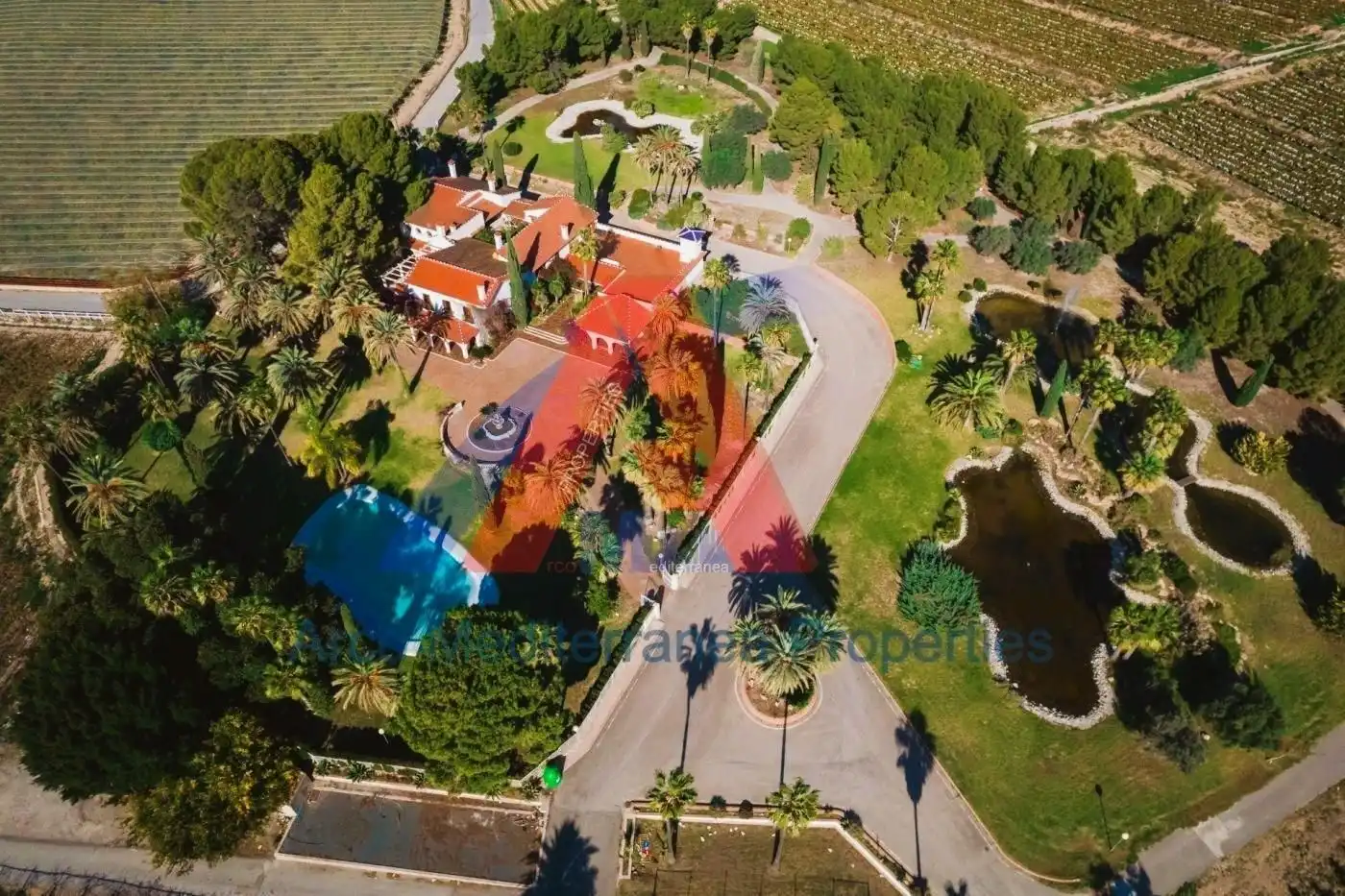 Casa rústica con piscina en venta en Novelda, imagen 3