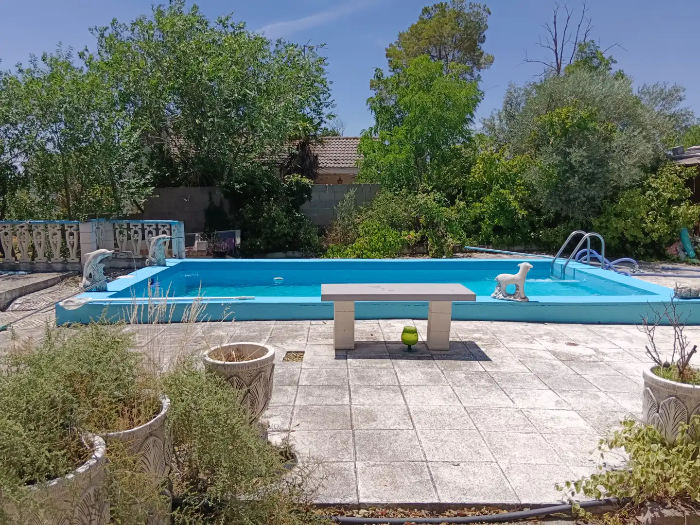 Piscina de Casa o xalet en venda en Illana amb Jardí privat, Terrassa i Piscina