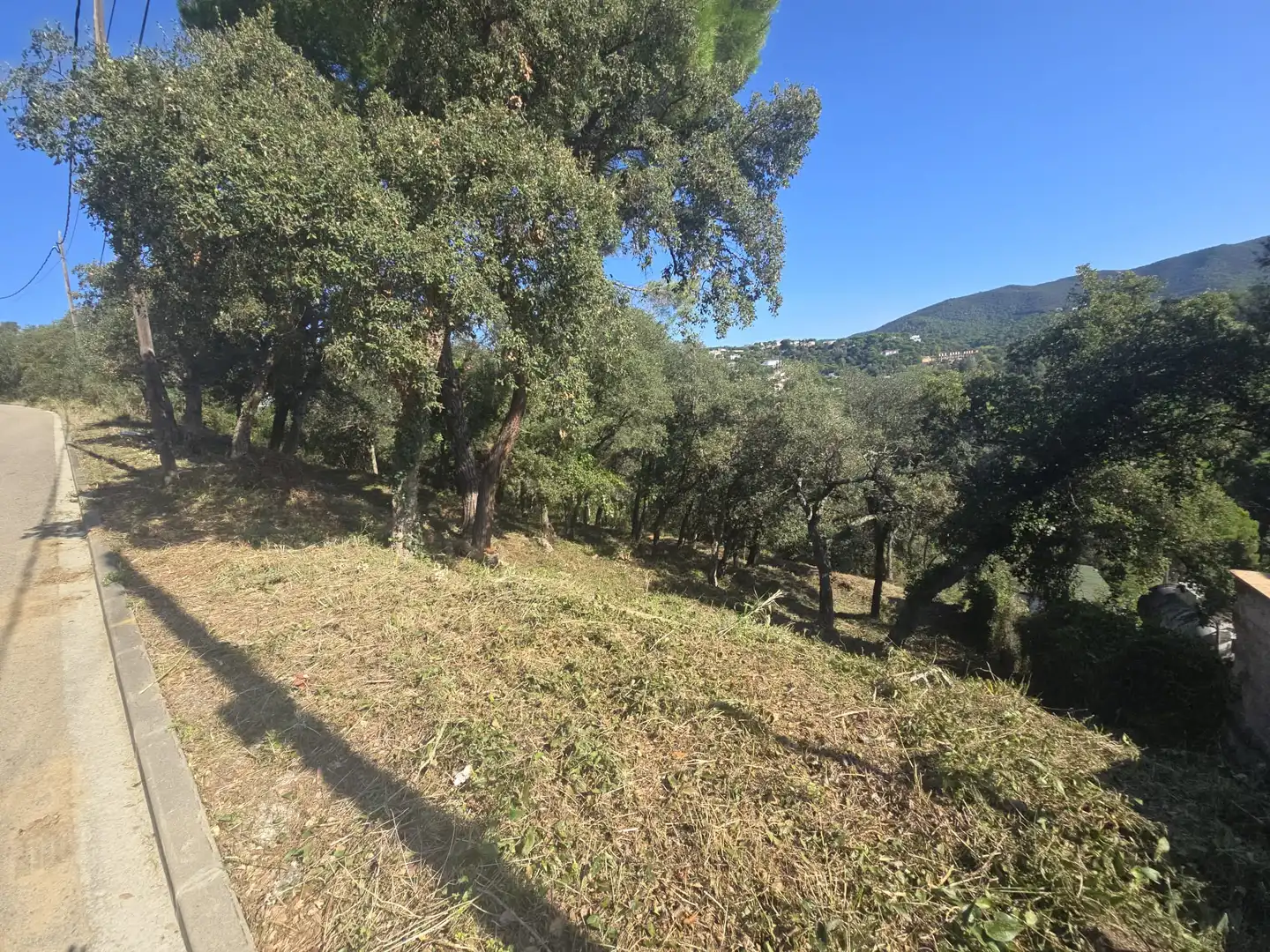 Lands and plots for sale in Olivera, imagen 5