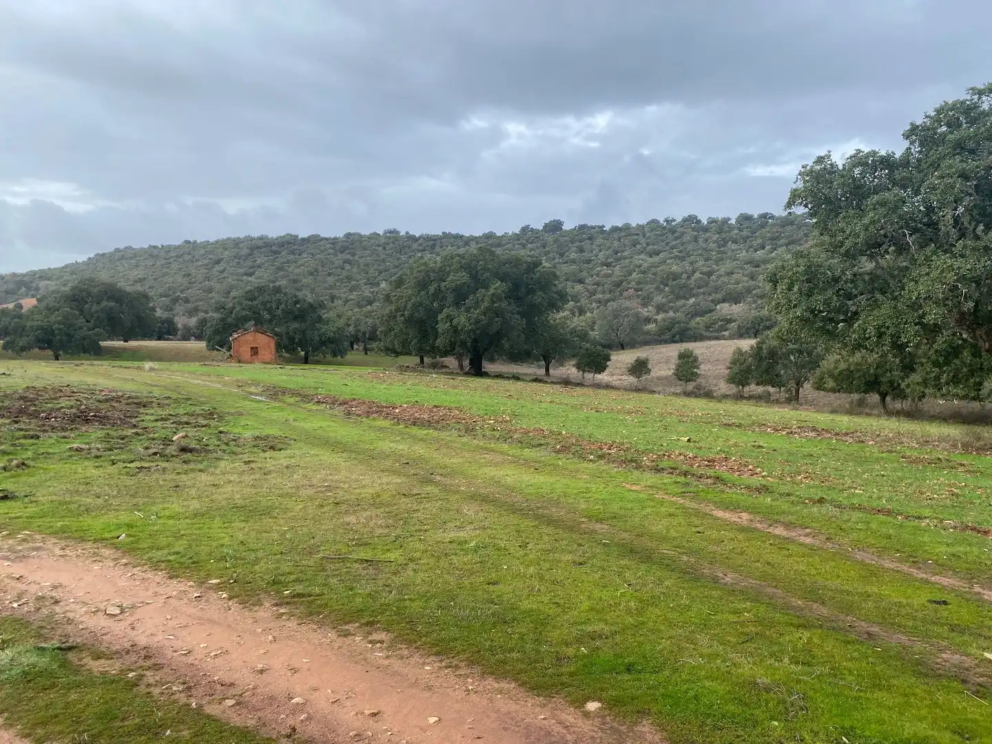 Terreno en venta en Anchuras