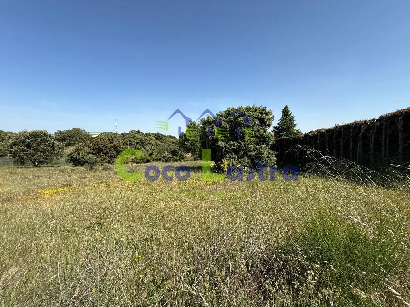 Residencial en venda en Carrascal de Barregas