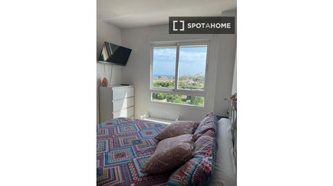 Photo 2 of Room in Campello pueblo, El Campello