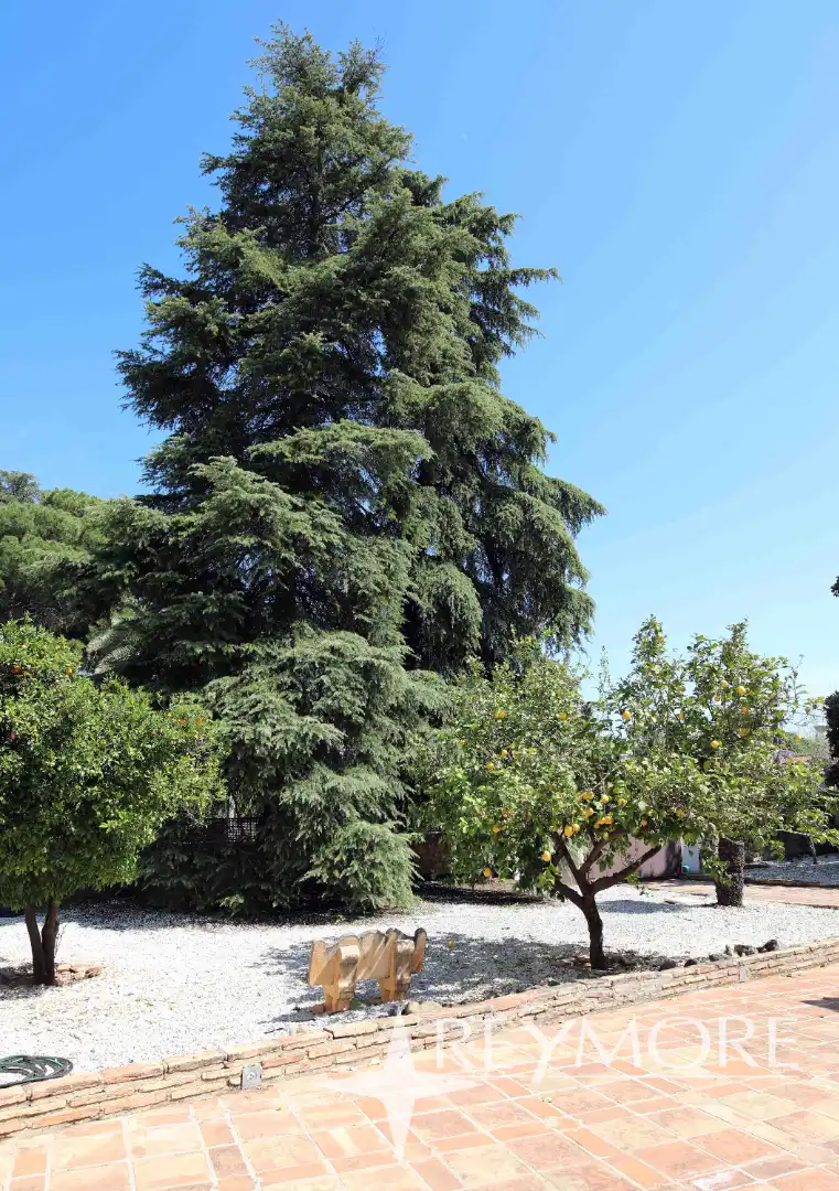 Jardín de Casa o chalet en venta en Córdoba con Aire acondicionado, Calefacción y Jardín privado