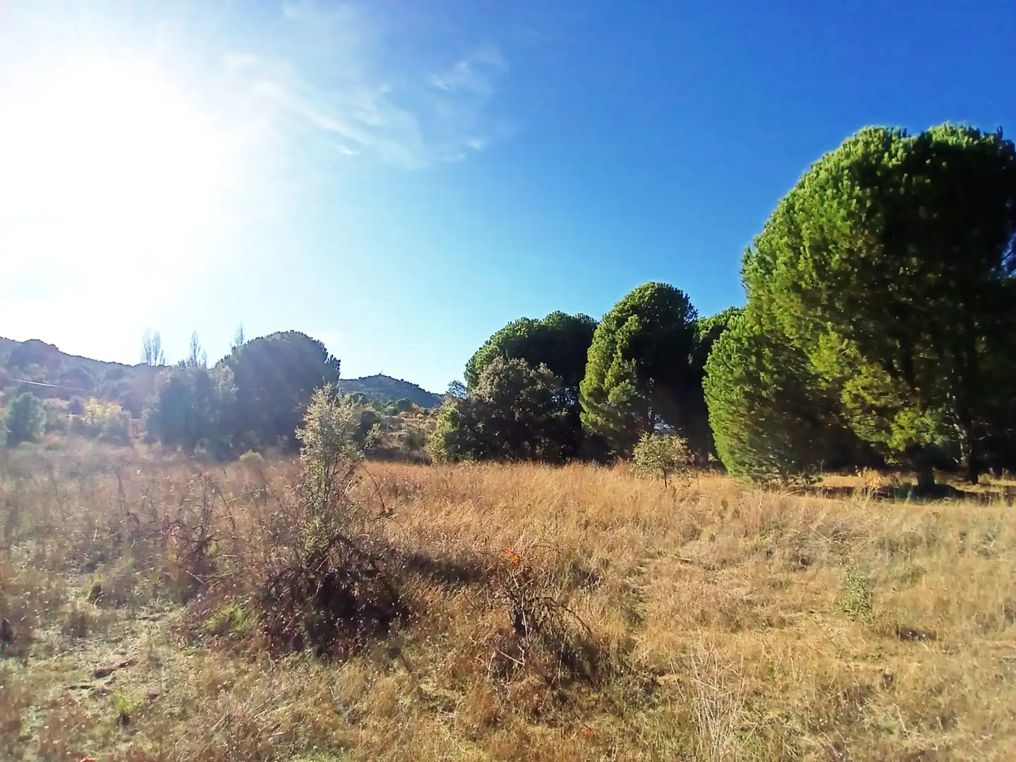 Rural land for sale in M-501, imagen 8