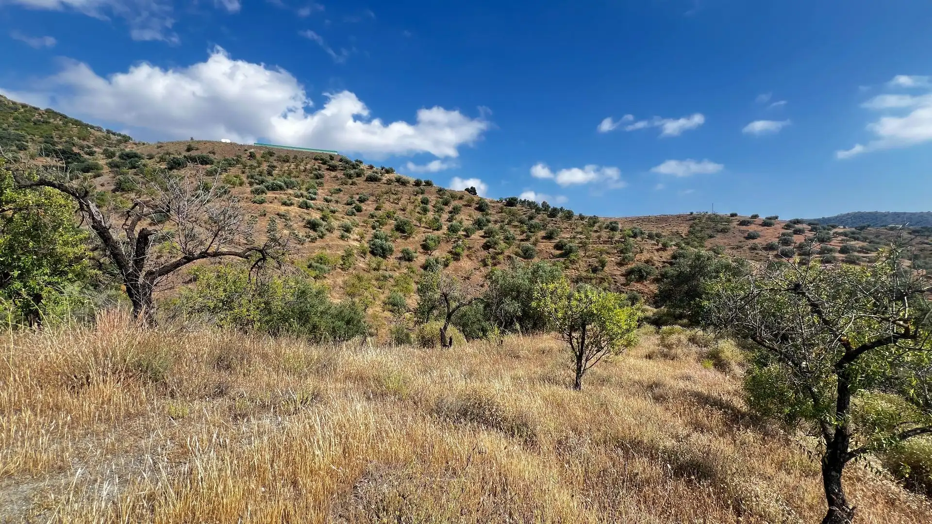 Terrenys i solars en venda a Canillas de Aceituno, imagen 5