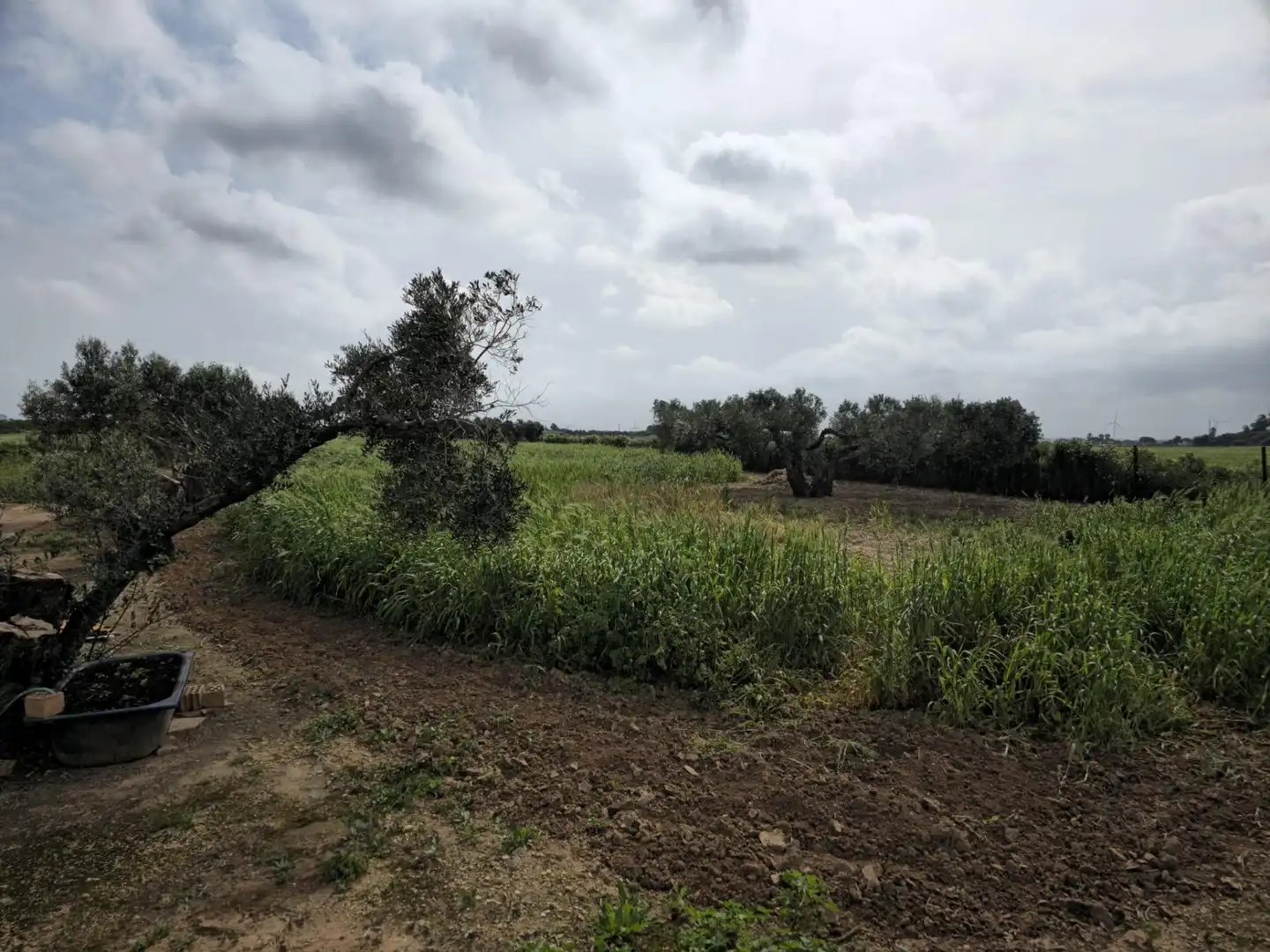 Finca rústica en venta en Puerto Real con Trastero