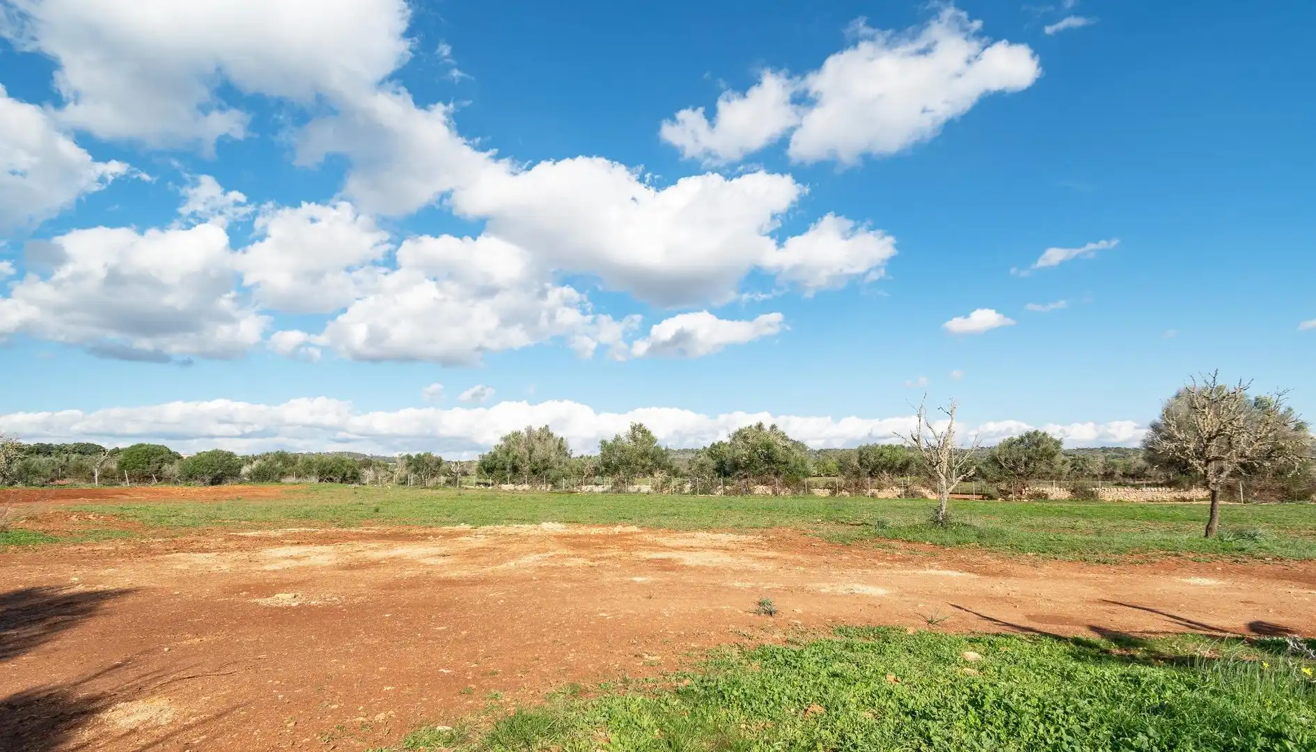Casa rústica con piscina en venta en Campos poble, imagen 58