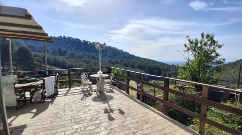 Foto 4 de Finca rústica en venta en Avinguda de Montclar, 170, Riudecanyes, Tarragona