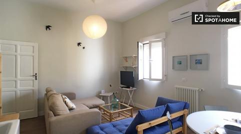 Photo 3 of Apartment to share in Universidad - Malasaña, Madrid