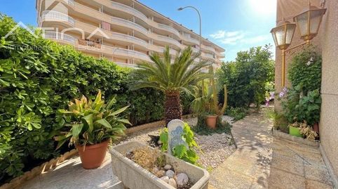 Apartamento en planta baja con jardín privado en la playa de Daimús a 150 metros del mar
