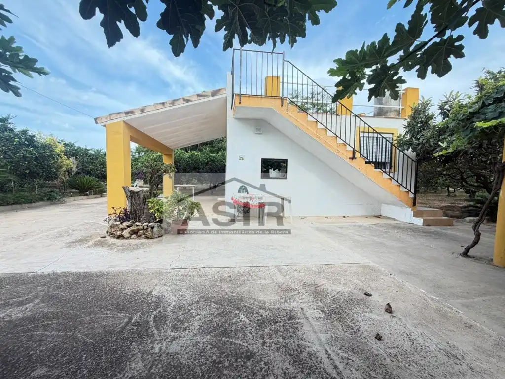 Exterior view of Houses for sale in Benicull de Xúquer