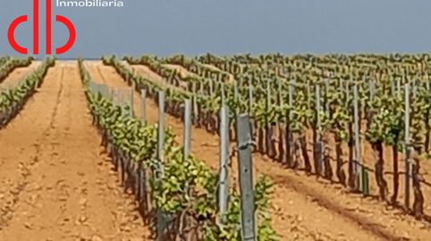 FINCA DE 14 HA DE VIÑA EN ESPALDERA DE RIEGO TOMELLOSO, immagine 4