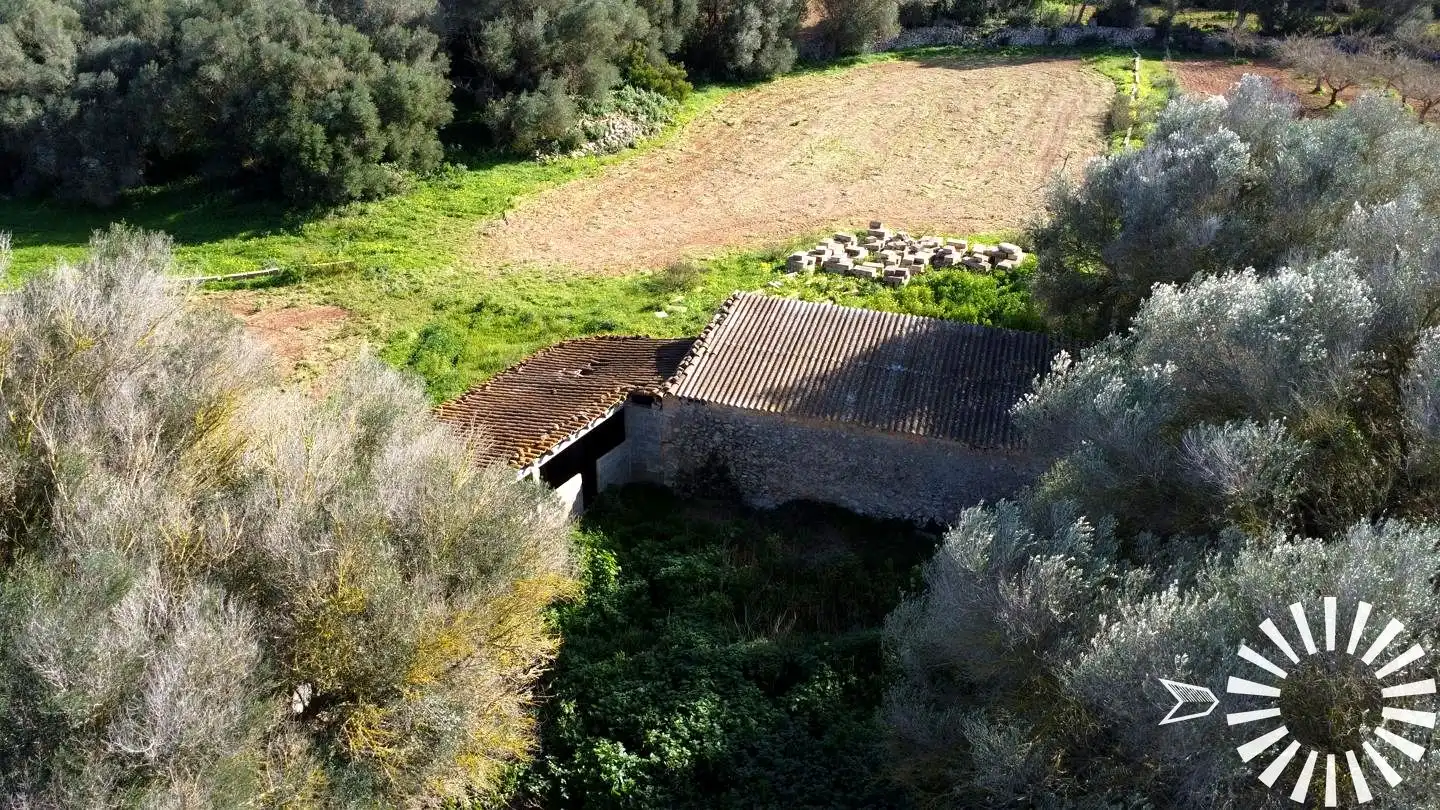 Terrain rustique à vendre à Cami de Son Pau, imagen 38