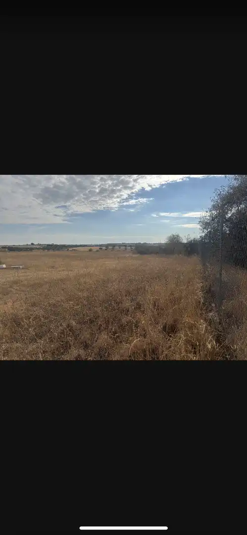 Terreno en venta en Bargas